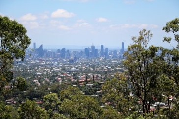 Mount Coot- tha