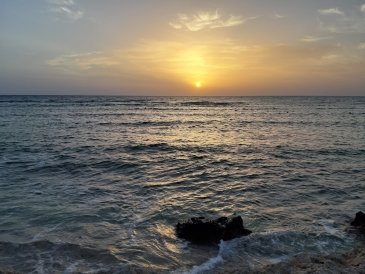20190529_050413.jpg