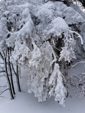 20191230_194131.jpg