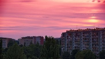 IMGP0475_pe.jpg