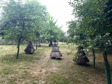 Muzeum Wsi Mazowieckiej i skansen w Sierpcu