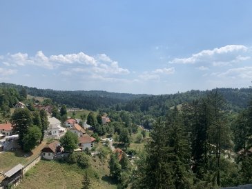 IMG_2641.jpeg