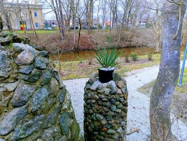 Park Goepperta w Szprotawie