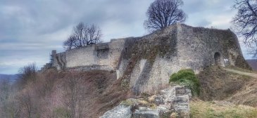 IMG_20230219_162349_edited.jpeg