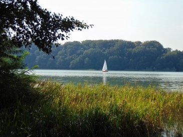 DSC00985.JPG