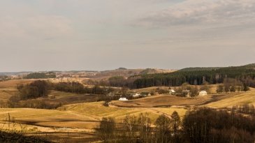 IMG_5061.jpeg