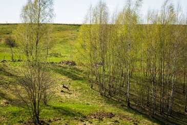 IMG_5831.jpeg