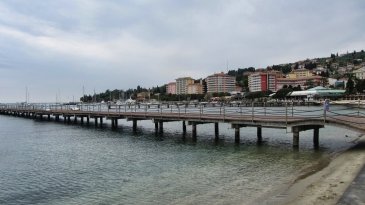 IMG_0882.jpg