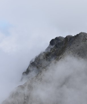 DSC_0781.JPG