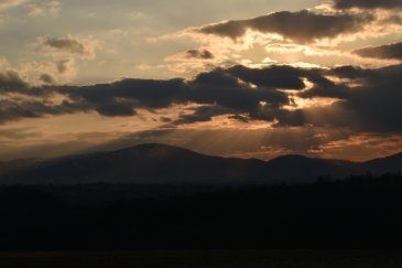 DSC_0664.JPG