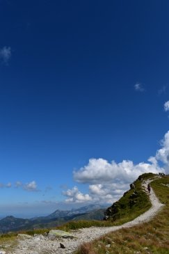 DSC_0953.JPG