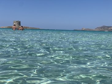 La Pelosa