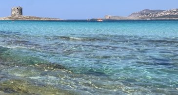 La Pelosa