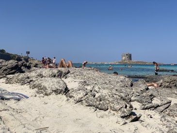 La Pelosa