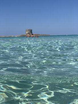 La Pelosa