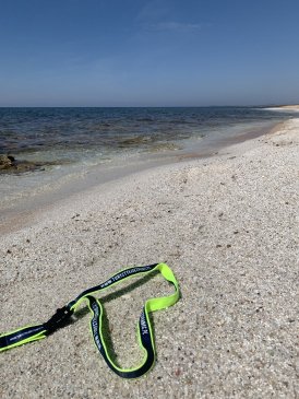 Kwarcowe plaże Półwysep Sinis Sardynia