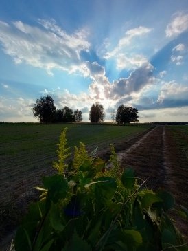 IMG_2023017_165638975_HDR.jpg