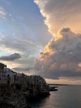 IMG_4593.jpeg