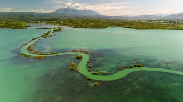 DJI_20240430125858_0288_D.jpg
