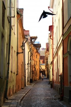 LOT W ZAUŁKU.JPG