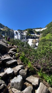 IMG_3896.jpeg