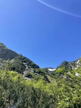 IMG_5618.jpeg