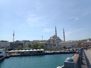 IMG_20240427_114555.jpg