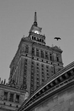 DSC_0048_DxO.jpg