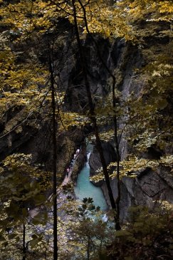 IMG_4756.jpeg
