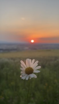 IMG_2325.jpeg