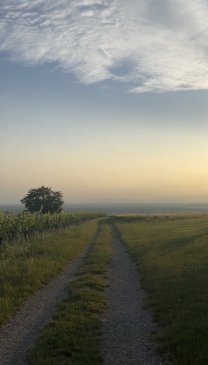 IMG_2292.jpeg