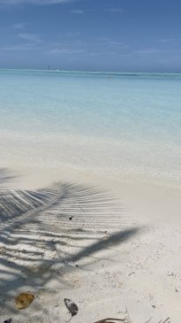 IMG_7708.jpeg