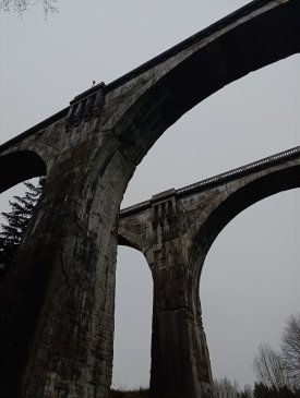 IMG_20241110_124915.jpg