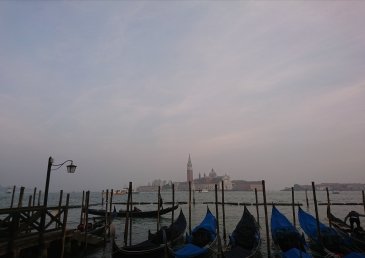 _20190303_120233.JPG