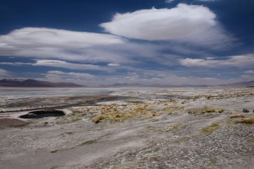 DSC_7524_1.jpg