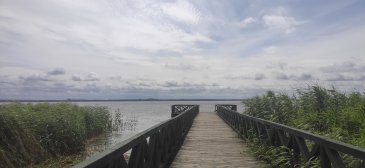 IMG_20220718_125816.jpg