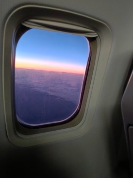 1000014509.jpg