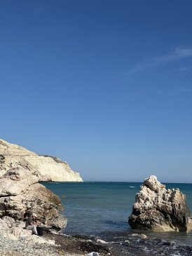 IMG_1831.jpeg