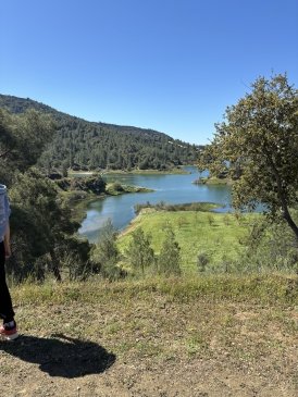 IMG_1806.jpeg