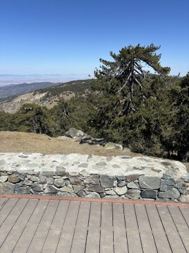 IMG_1822.jpeg