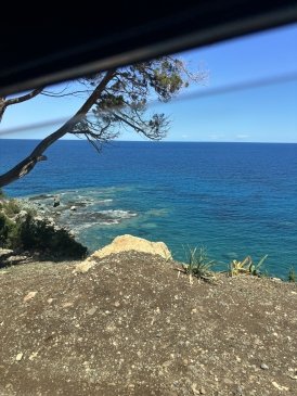 IMG_1760.jpeg