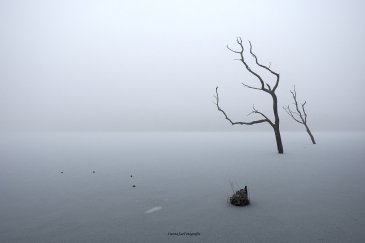 DSCF2068.JPG