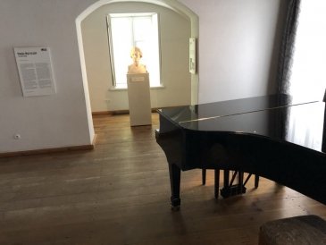 Żelazowa Wola