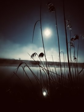 IMG_9443.jpeg