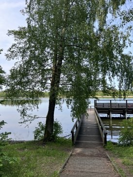IMG_2325.jpeg