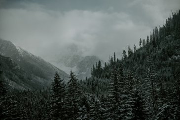 DSC_2531.jpeg