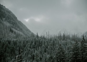 DSC_2534.jpeg