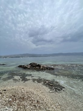 IMG_2216.jpeg