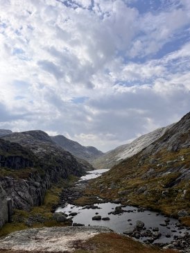 Norwegia