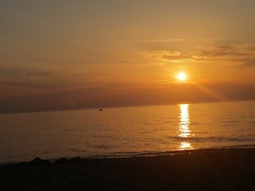 IMG_20250615_205309.jpg